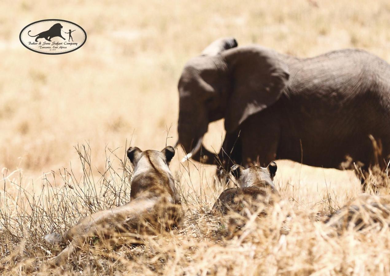 Baker Safari Company Villa Kwangwazi Dış mekan fotoğraf