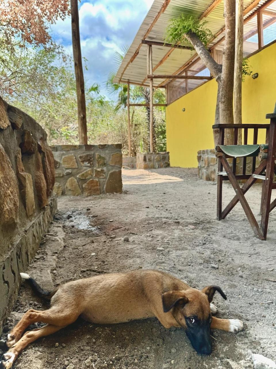 Baker Safari Company Villa Kwangwazi Dış mekan fotoğraf