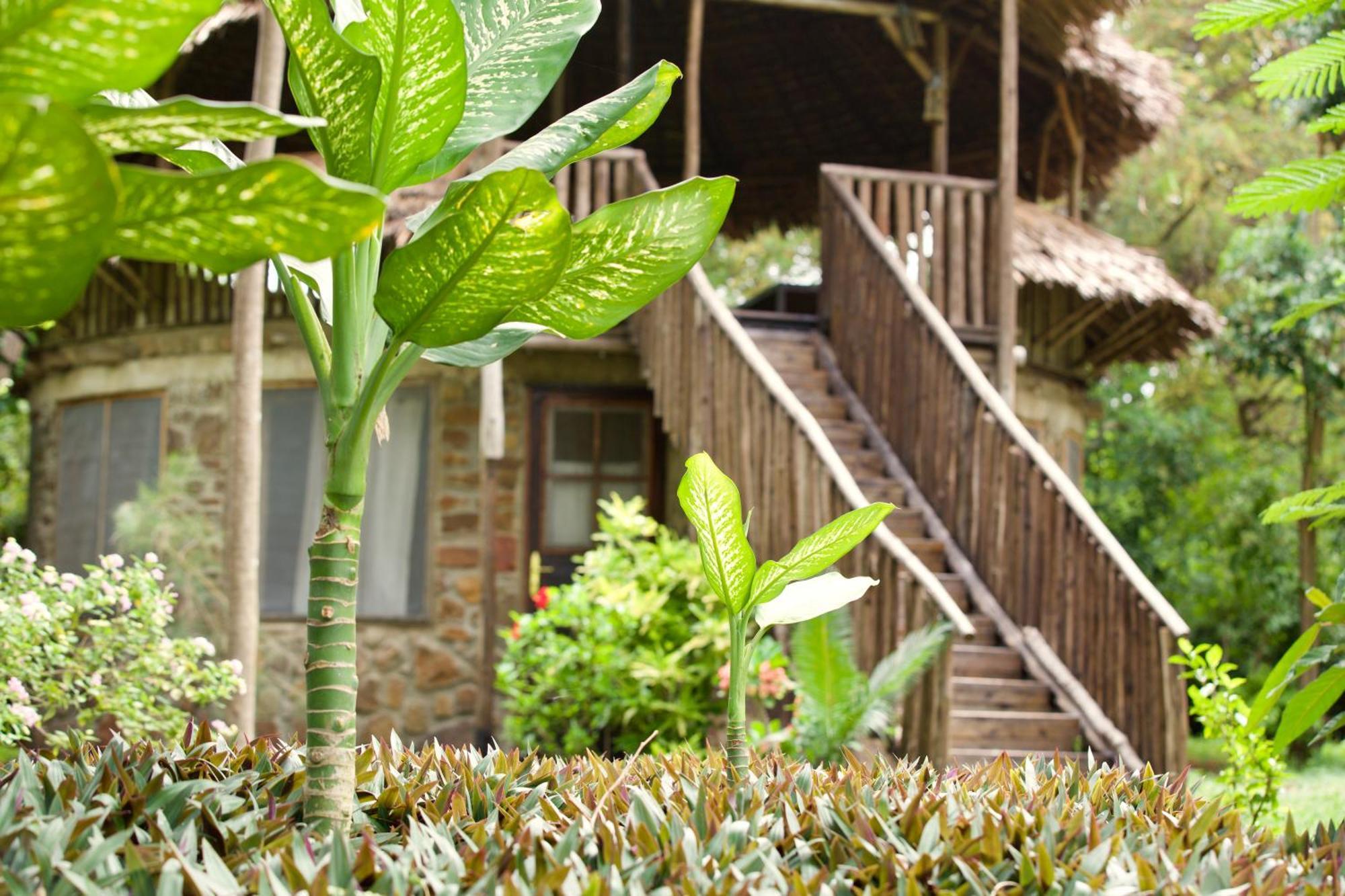 Baker Safari Company Villa Kwangwazi Dış mekan fotoğraf