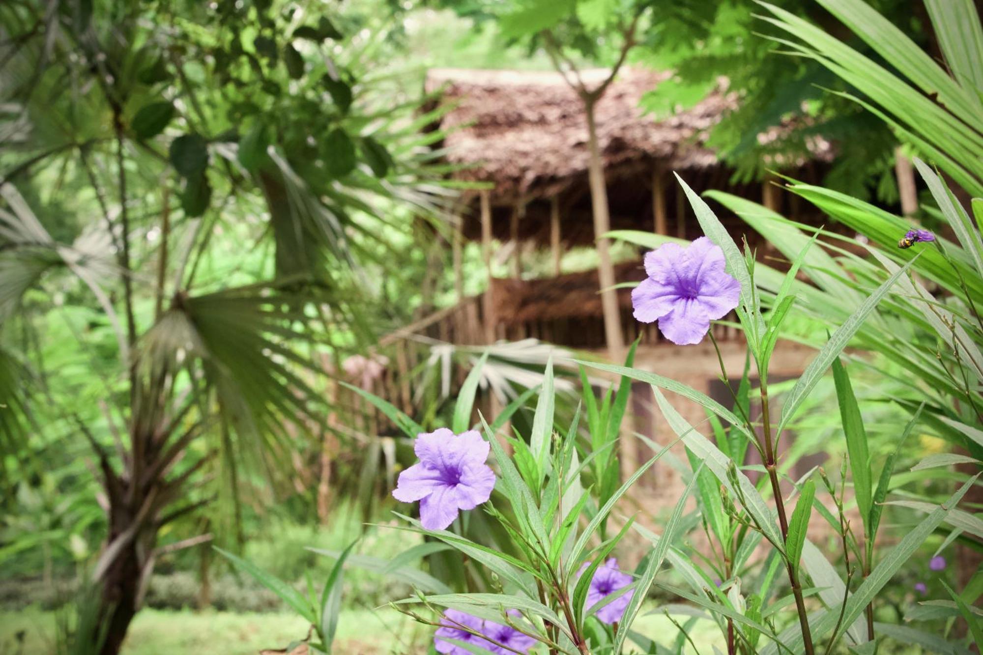 Baker Safari Company Villa Kwangwazi Dış mekan fotoğraf