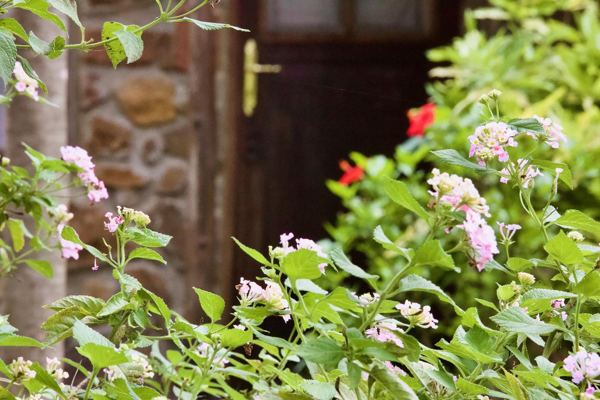 Baker Safari Company Villa Kwangwazi Dış mekan fotoğraf