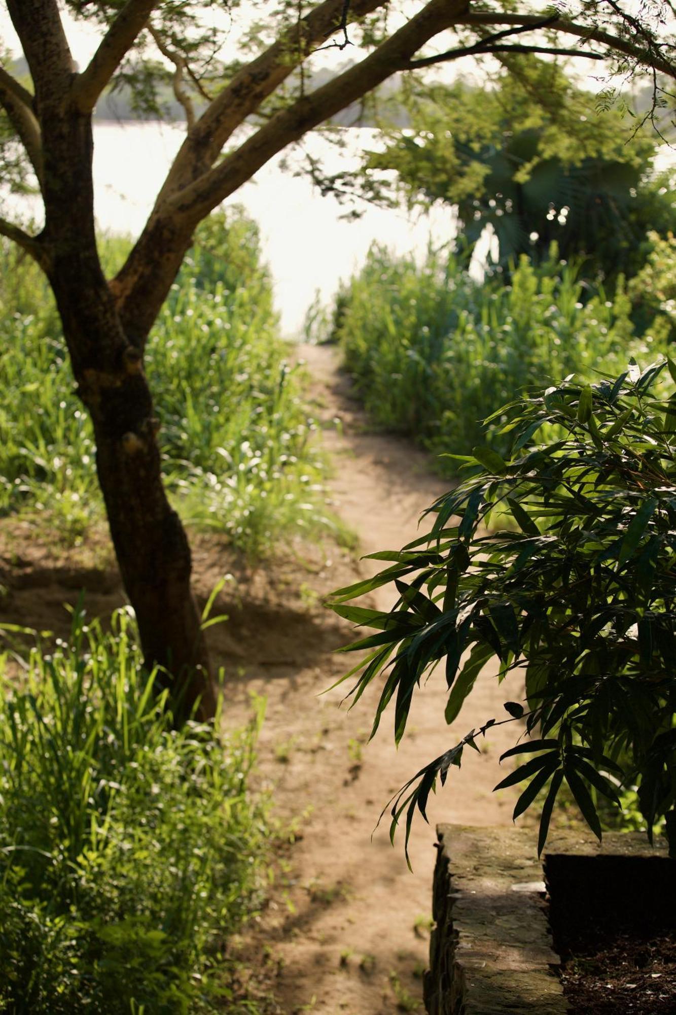 Baker Safari Company Villa Kwangwazi Dış mekan fotoğraf